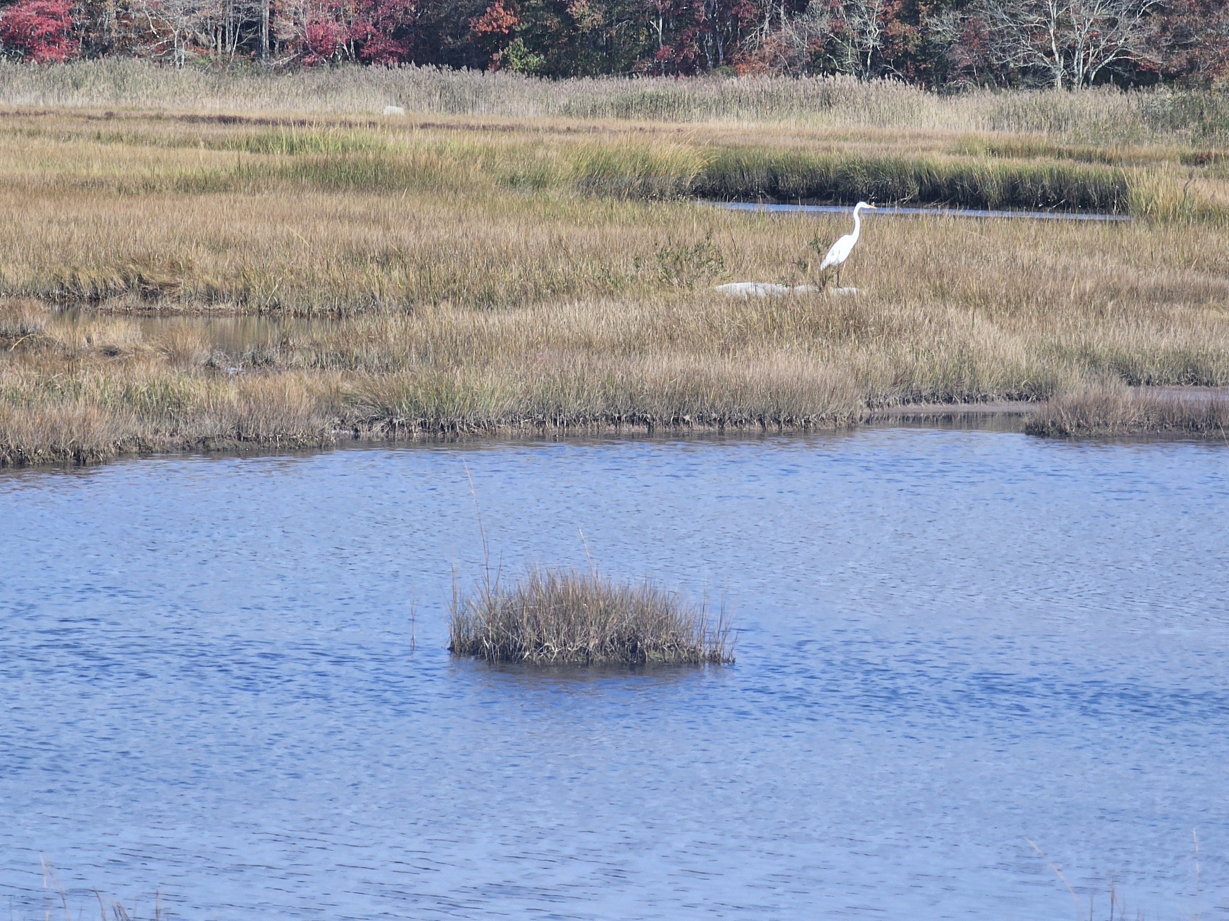 Barn Island