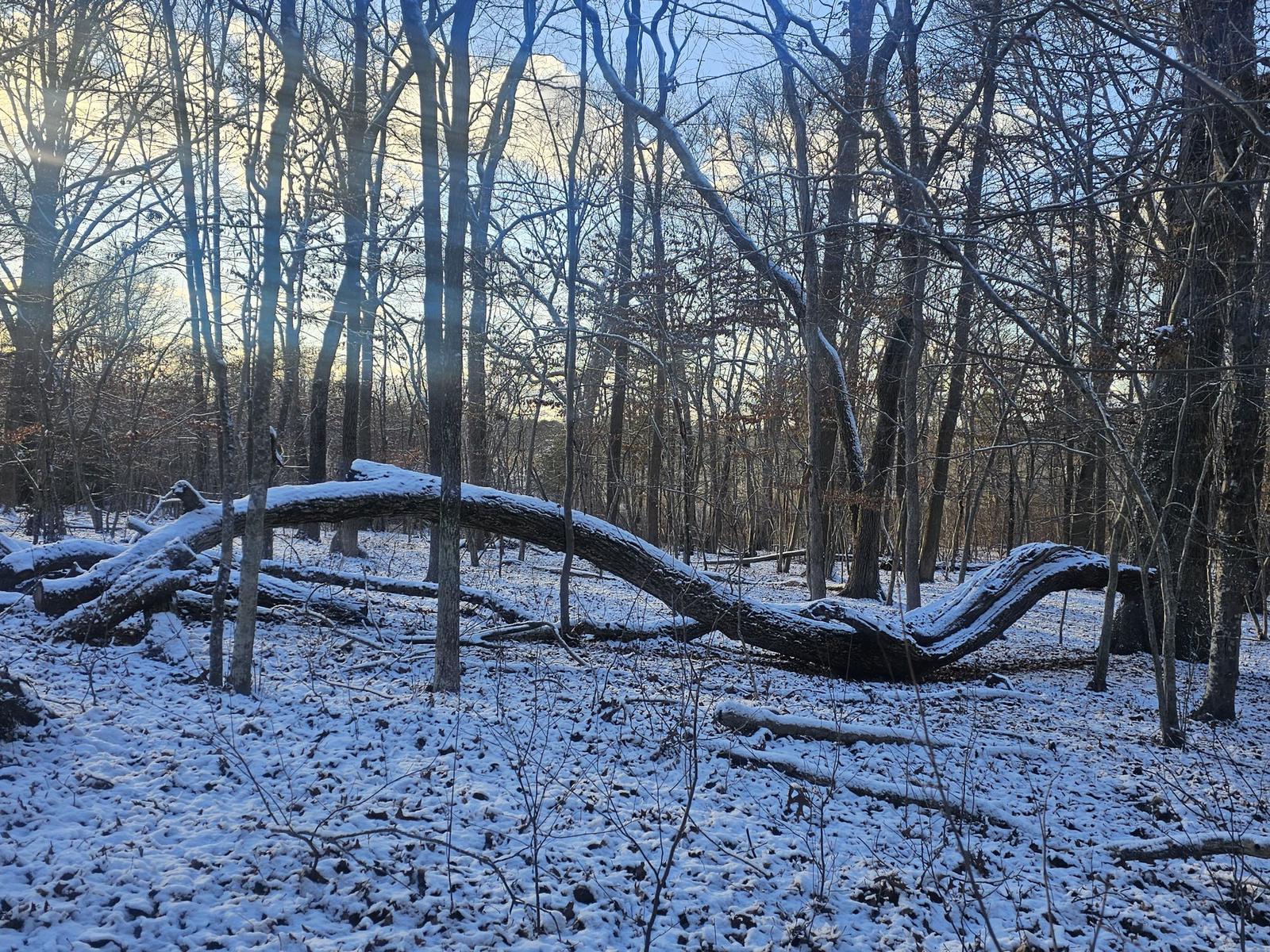 Barlow Preserve