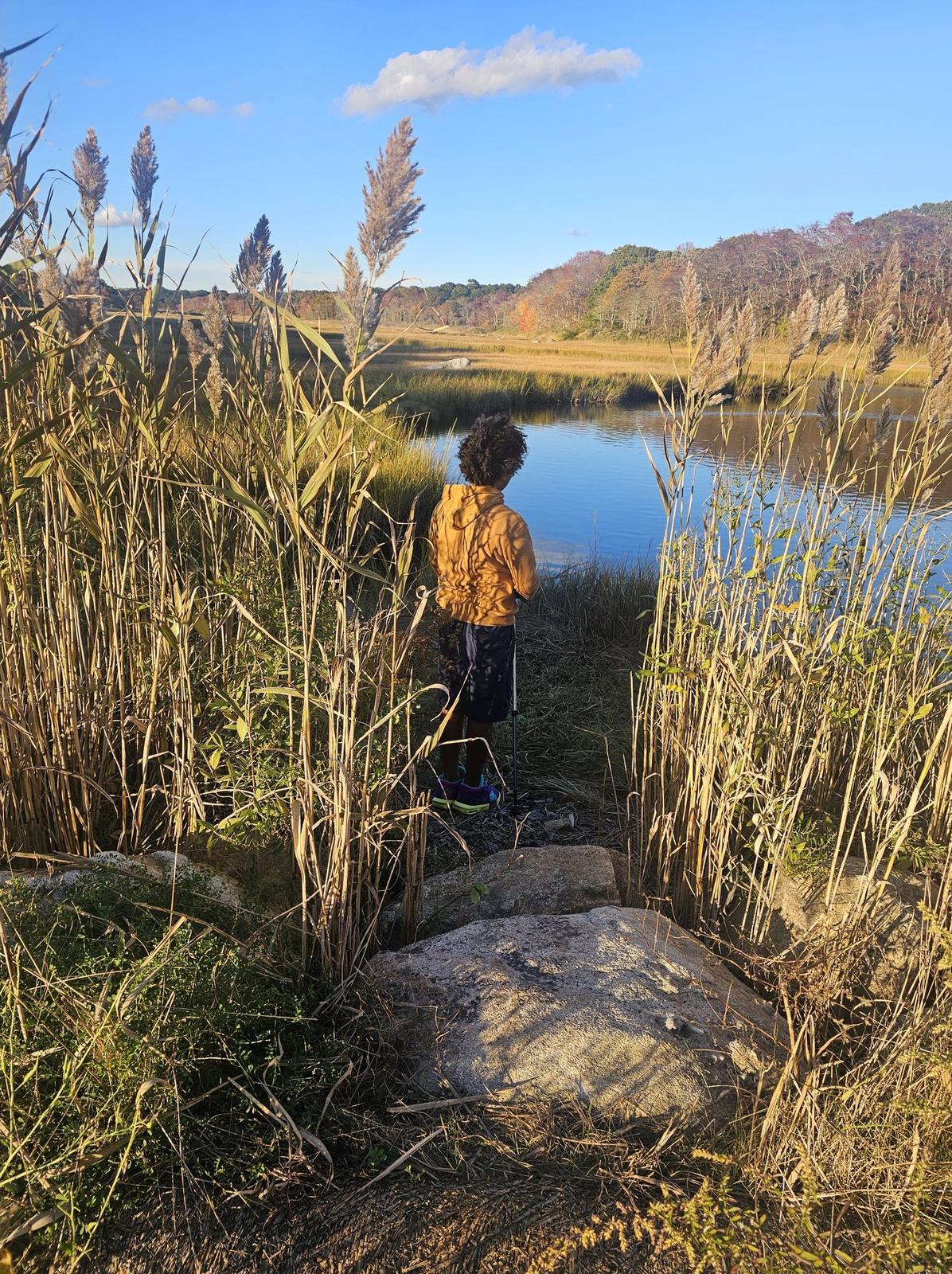 Walking in Nature