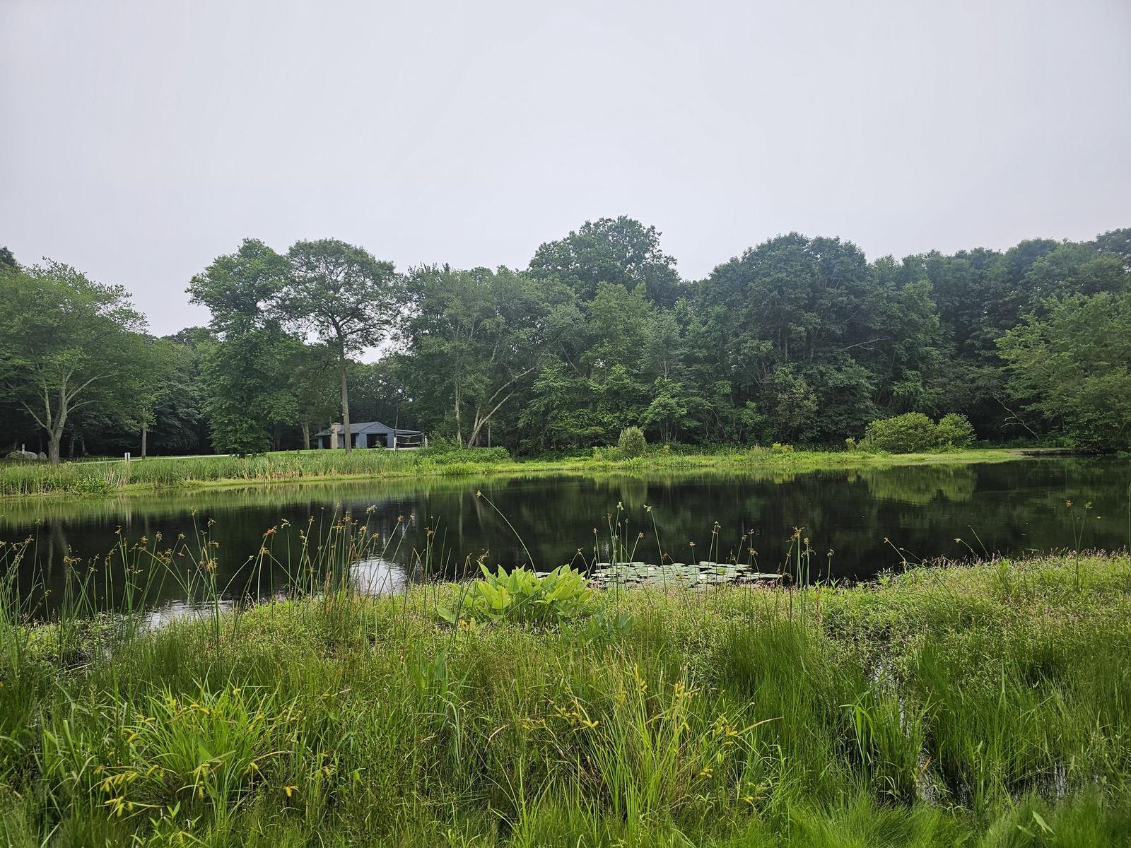 Spellman Park