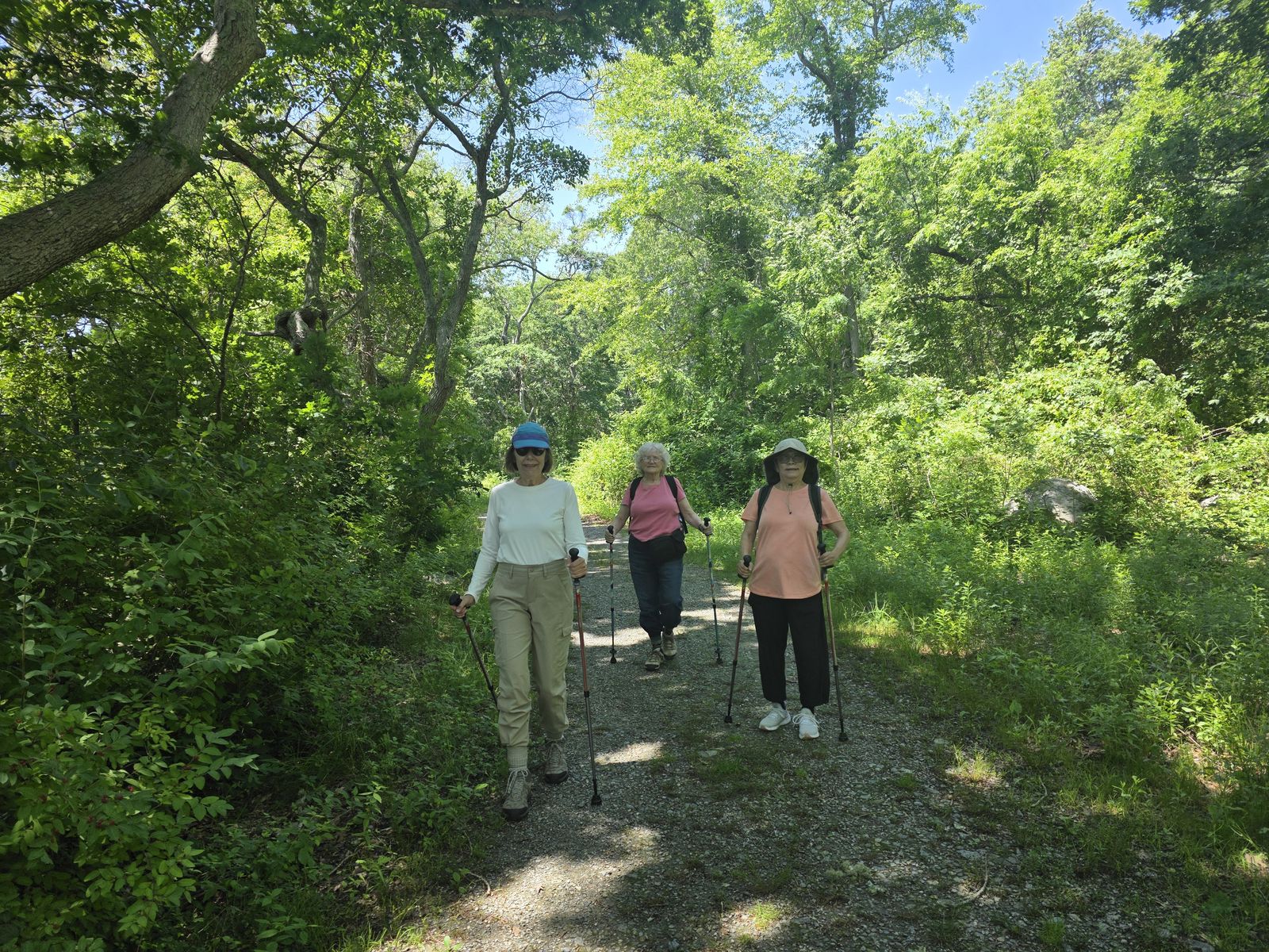 Walkers on a woodland trail